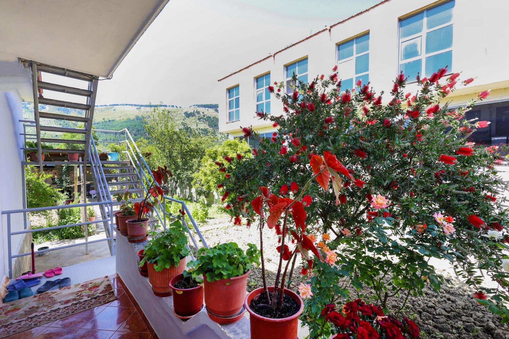 Samuela Cozy Retreat Βίλα Μπεράτ Εξωτερικό φωτογραφία